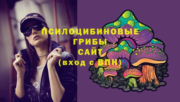 гидра Пестово