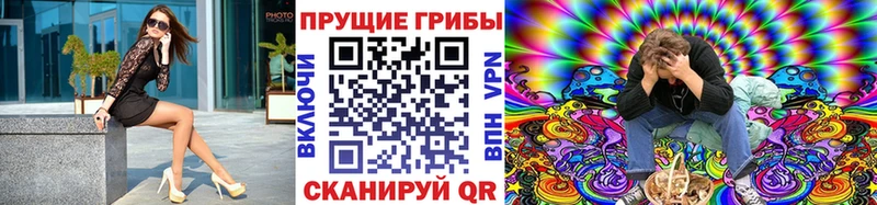дарнет шоп Юрьевец Псилоцибиновые грибы Cubensis